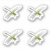 Sticker libellules (Devant)