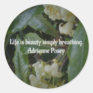 Sticker Life Beauty
