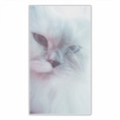 Sticker Lilly (Devant)