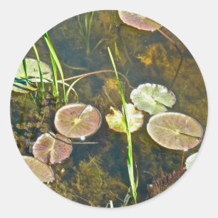 Sticker Lily Pads