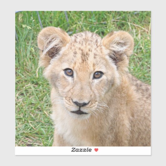 Sticker Lion (Feuille)