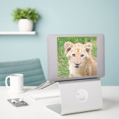 Sticker Lion (Ordinateur portable sur le bureau)