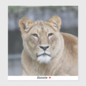 Sticker Lion 004 (Feuille)