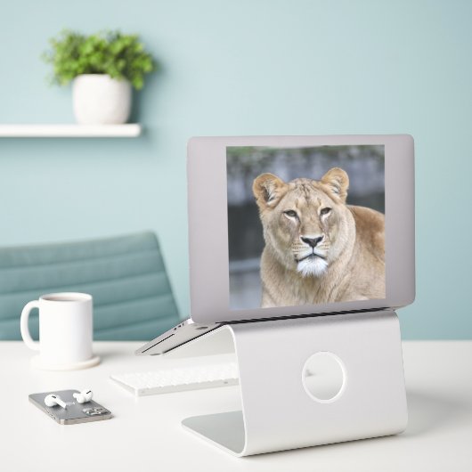 Sticker Lion 004 (Ordinateur portable sur le bureau)