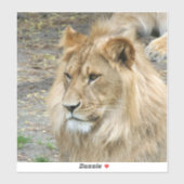 Sticker Lion 011 (Feuille)