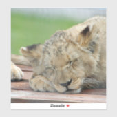 Sticker Lion 014 (Feuille)