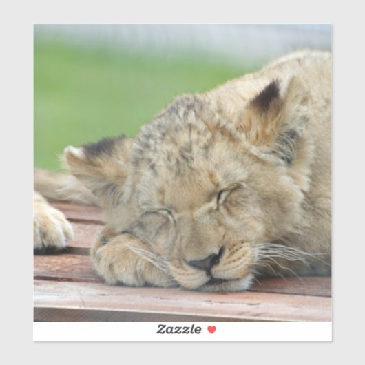 Sticker Lion 014 (Feuille)