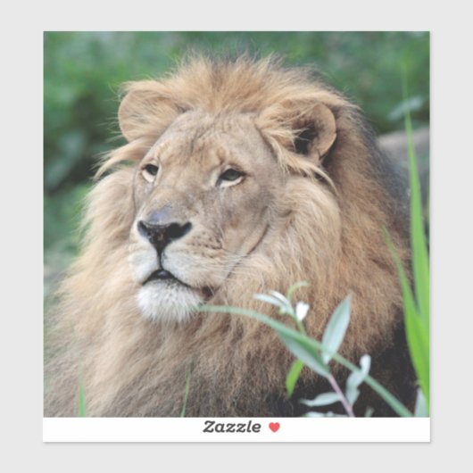 Sticker Lion 021 (Feuille)