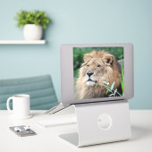 Sticker Lion 021 (Ordinateur portable sur le bureau)