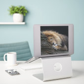 Sticker Lion 030 (Ordinateur portable sur le bureau)