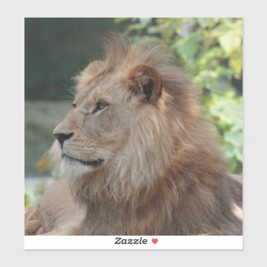 Sticker Lion 035 (Feuille)