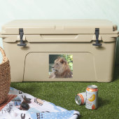 Sticker Lion 035 (Glacière)