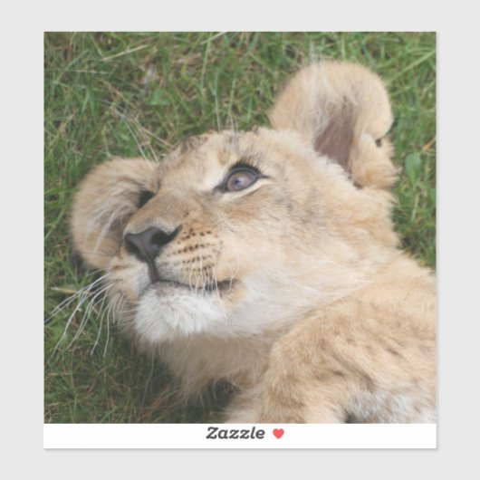 Sticker Lion 22 (Feuille)