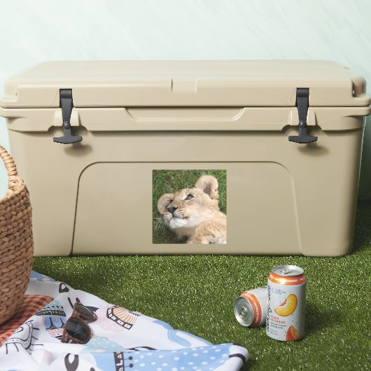 Sticker Lion 22 (Glacière)