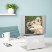Sticker Lion 22 (Ordinateur portable sur le bureau)