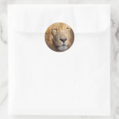 Sticker Lion Images (Sac)