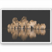 Sticker Lion Pride Drinks at the Water Hole at Night (Devant)