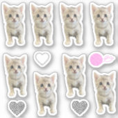 Sticker Little Miss Winter - Chat / Kitten (Devant)