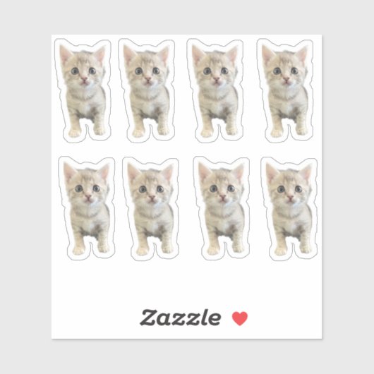 Sticker Little Miss Winter - Chat / Kitten (Feuille)