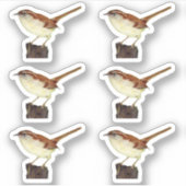 Sticker Little Wren (Devant)