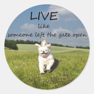 Sticker "Live Like One Left Gate Open"