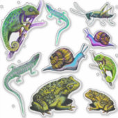 Sticker Lizards, grenouilles, caméléon, escargots (Devant)