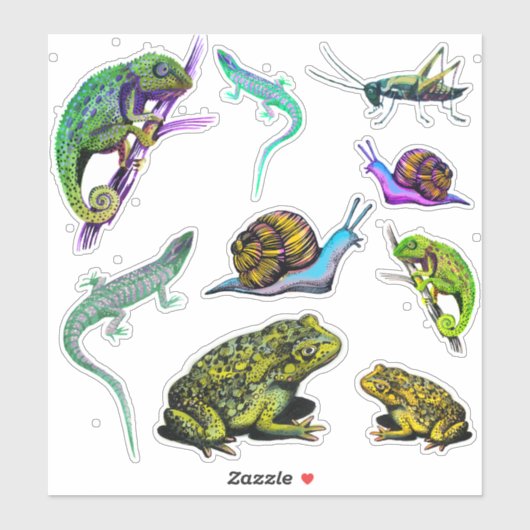 Sticker Lizards, grenouilles, caméléon, escargots (Feuille)