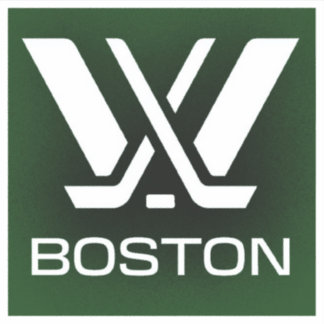 Sticker Logo de hockey PWHL Boston