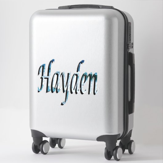Sticker Logo du nom Hayden (Sur valise)