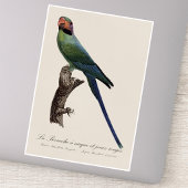 Sticker Long-Tailed Parakeet, Psittacula Longicauda
