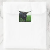 Sticker Longhorn Bull (Sac)