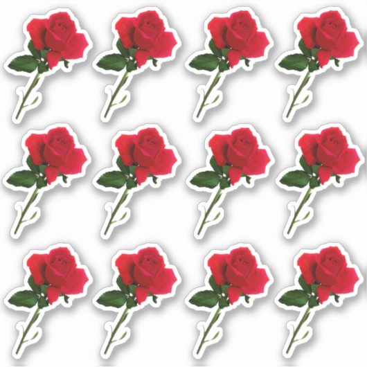 Sticker longue tige rouge feuille rose (Devant)