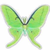 Sticker Luna Moth - Vert citron vert et vert pâle (Devant)