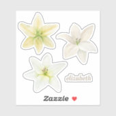 Sticker Lys blanc aquarelle. Fleurs de jardin. Floral (Feuille)