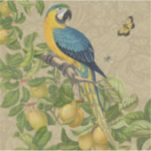 Sticker Macaw Blue Jaune Tropical Jungle Antique (Devant)