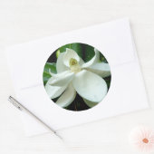 Sticker Magnolia Bloom (Enveloppe)