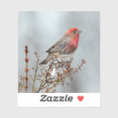 Sticker Maison Finch en Neige - Photo originale (Feuille)