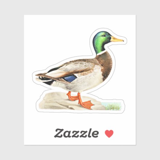 Sticker Mallard Duck (Feuille)