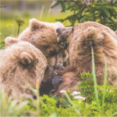 Sticker Mama bear nourrit ses deux petits, Lake Clark Nati (Devant)