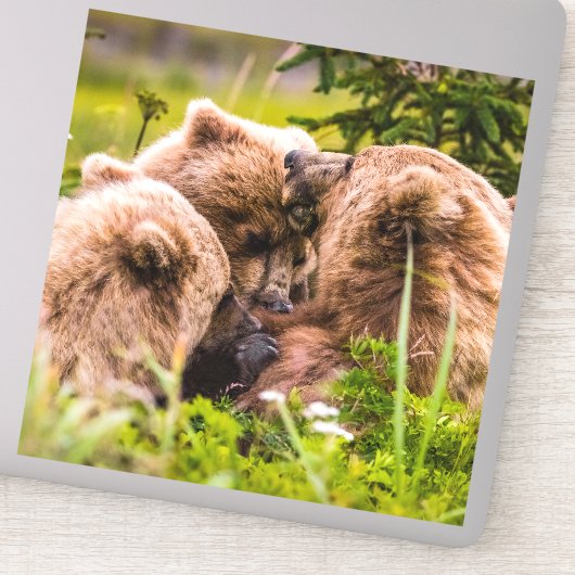 Sticker Mama bear nourrit ses deux petits, Lake Clark Nati (Détail)