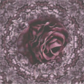 Sticker Mandala de rose (Devant)