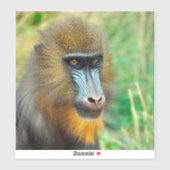 Sticker Mandrill 002 (Feuille)