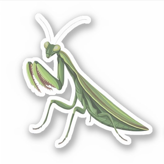 Sticker Mantis de prière illustrée (Devant)