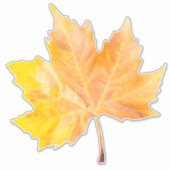 Sticker Maple autumn (Devant)