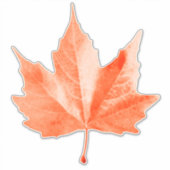 Sticker Maple autumn (Devant)