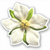 Sticker Mariage Fleur Magnolia Élégant (Devant)