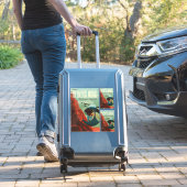 Sticker Mars Olympus Mons Système solaire Volcano le plus  (Valise Insitu)