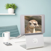 Sticker Meerkat 048 (Ordinateur portable sur le bureau)