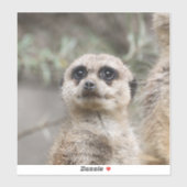 Sticker Meerkat 082 (Feuille)