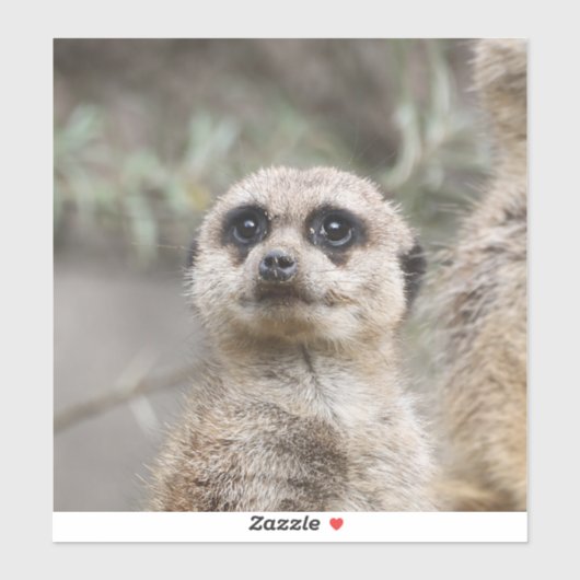 Sticker Meerkat 082 (Feuille)